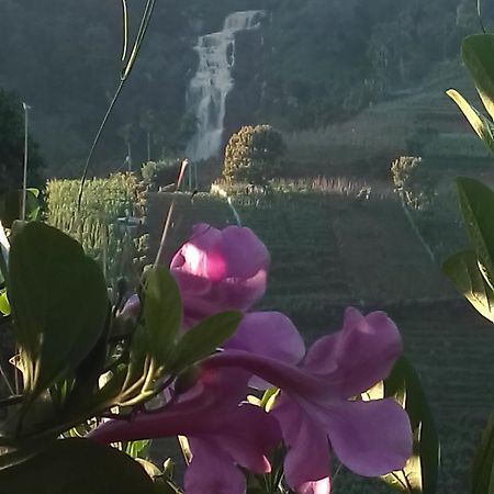 Cascade Vally エッラ エクステリア 写真