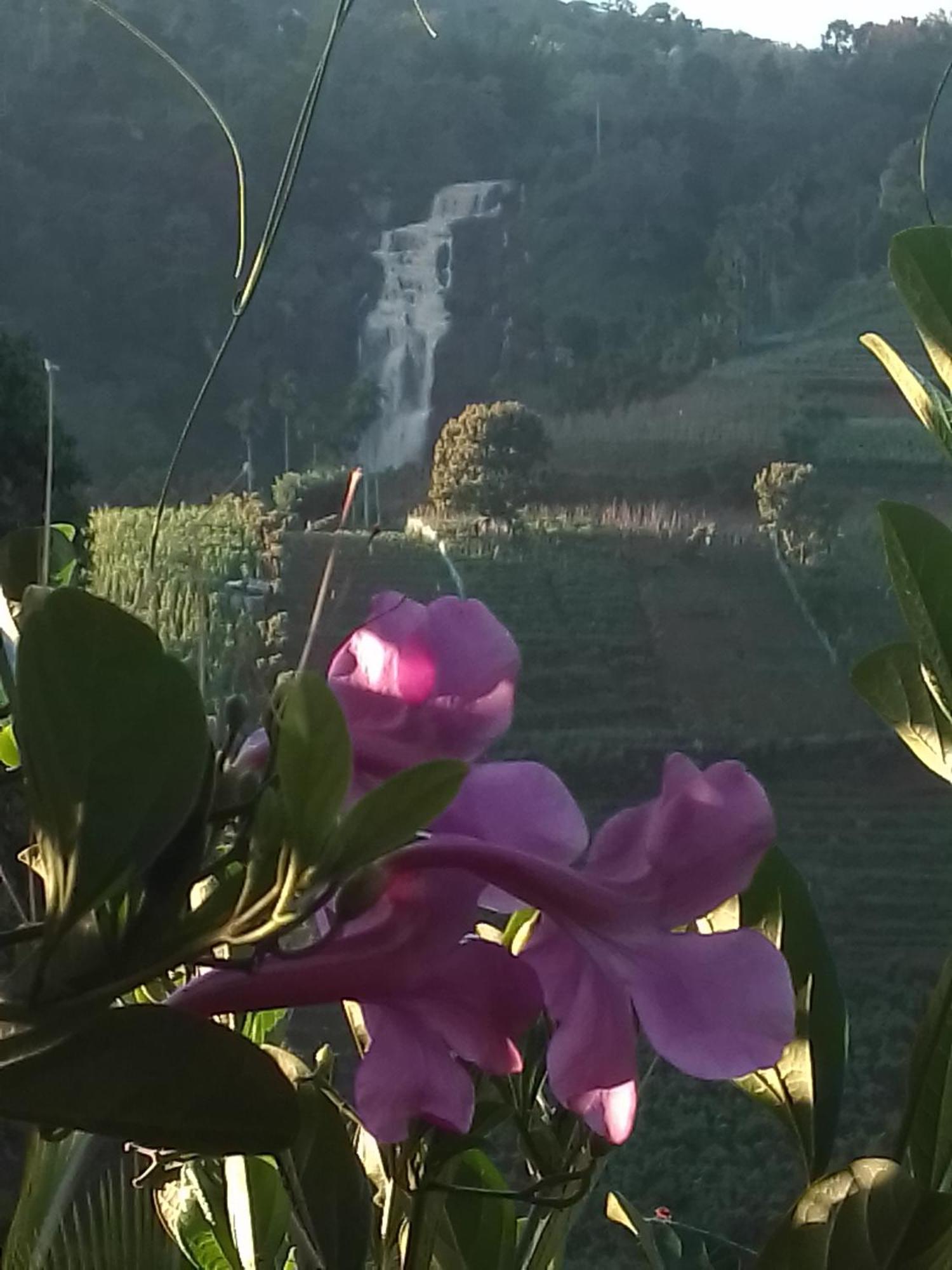 Cascade Vally エッラ エクステリア 写真